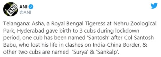 शहीद कर्नल संतोष बाबू के नाम पर रखा बंगाल टाइगर के शावक का नाम