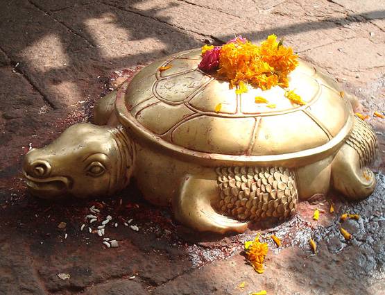 Vastu Tips: घर में जरूर रखें ये एक चीज, बनी रहेगी पॉजिटिव एनर्जी