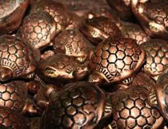 Vastu Tips: घर में जरूर रखें ये एक चीज, बनी रहेगी पॉजिटिव एनर्जी