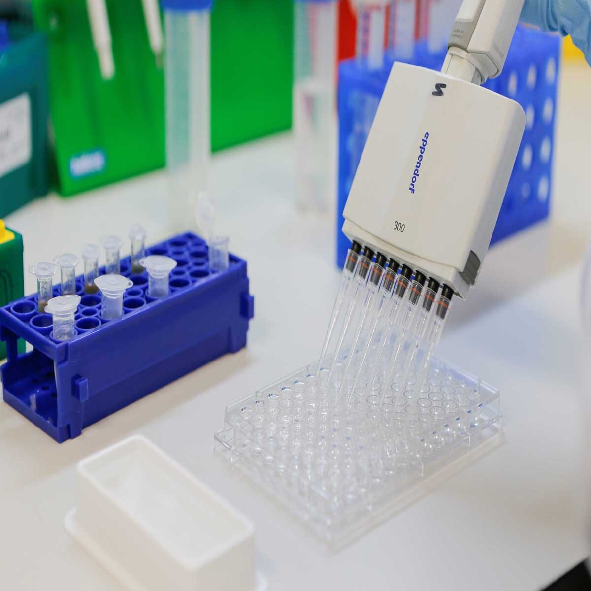 प्लांट में बदलाव 