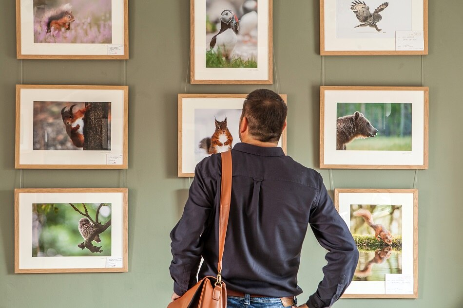 दूसरी गड़बड़ी