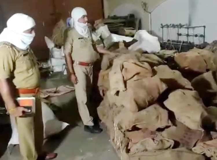 50 करोड़ की चंदन की लकड़ी पकड़ी, कई देशों में होनी थी सप्लाई