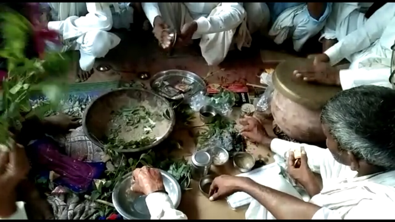 युवक को सांप ने काटा (फोटो आजतक)