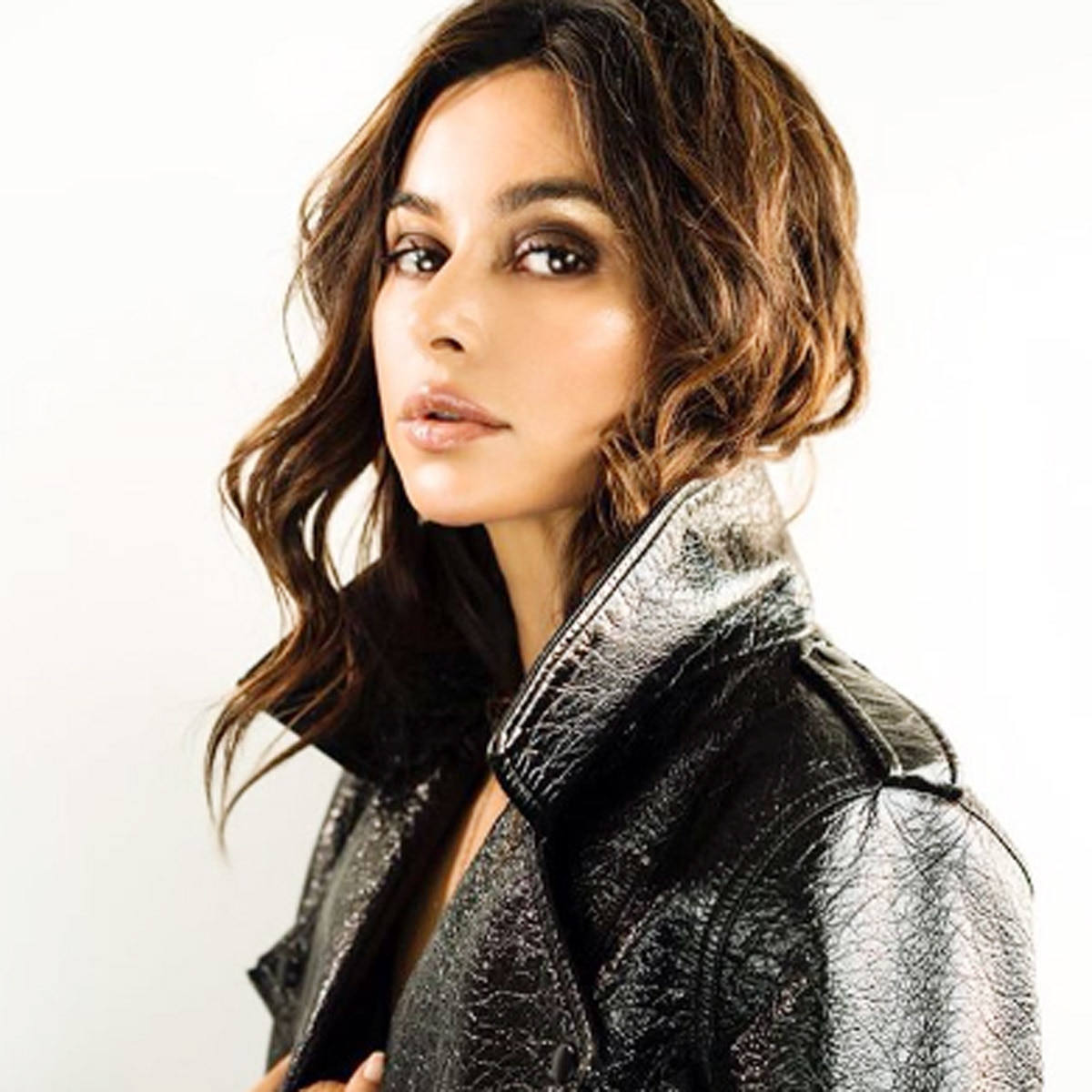 शिबानी दांडेकर 