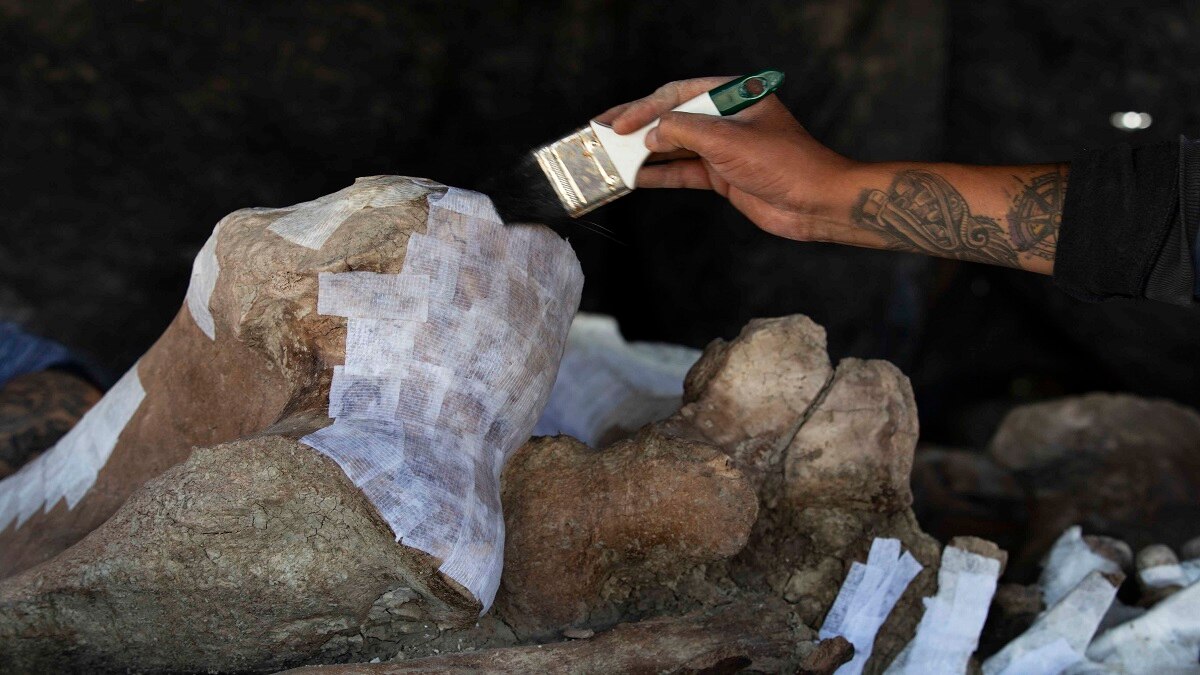 सैकड़ों साल पुराने कंकाल