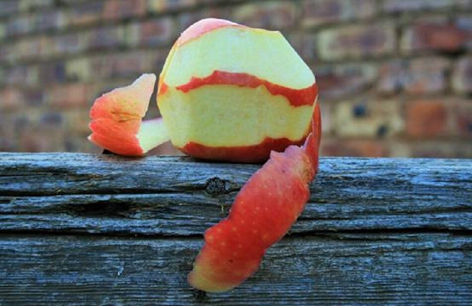 हड्डियों की सुरक्षा