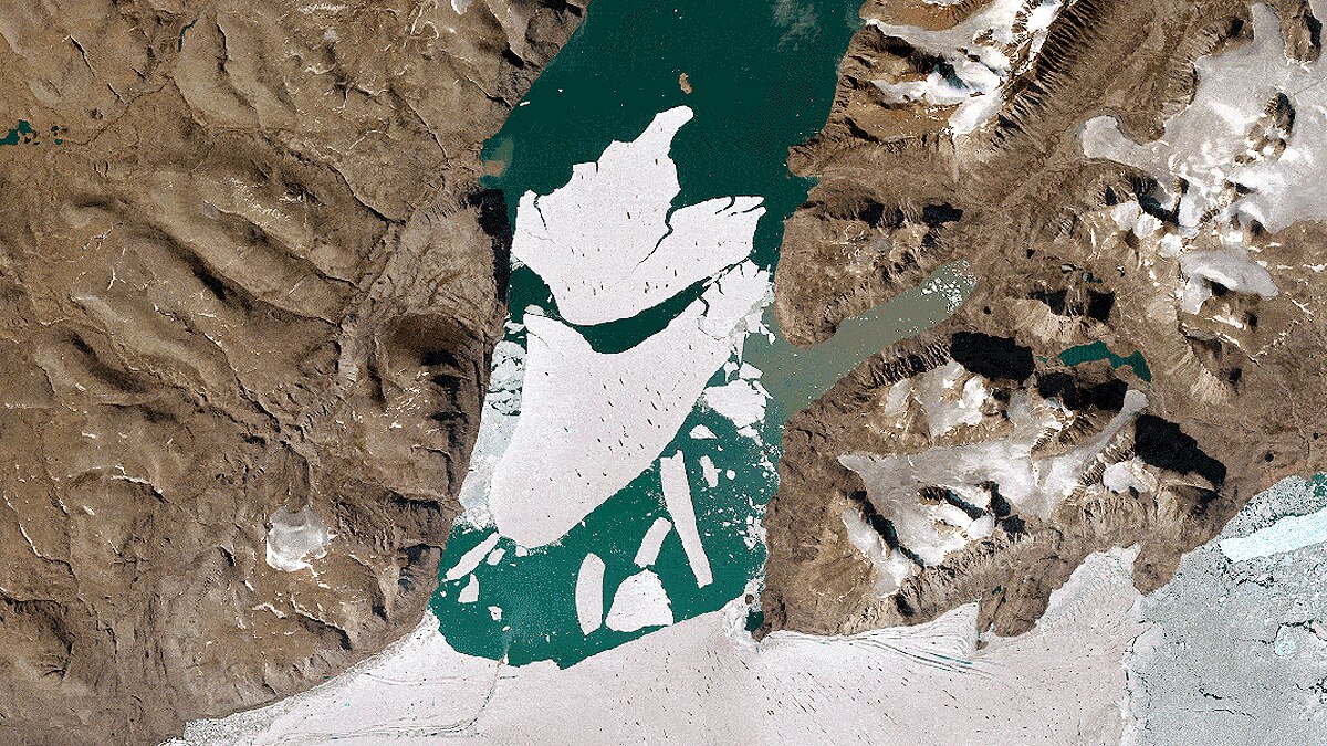 Greenland Arctic Ice Shelf Spalte Glacier Breaks Apart