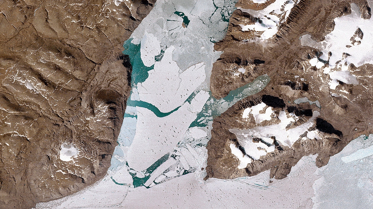 Shrinking Ice sheet will increase global sea level by 15 inches till 2100