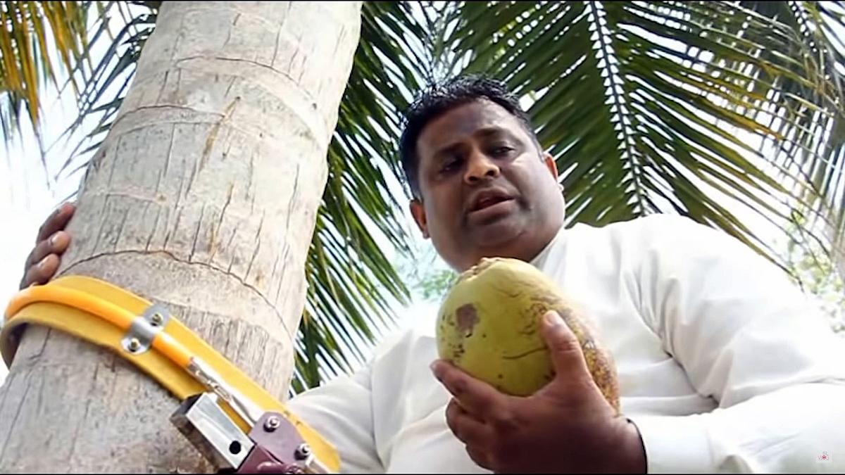 Sri Lanka facing scarcity of 70 crores Coconut
