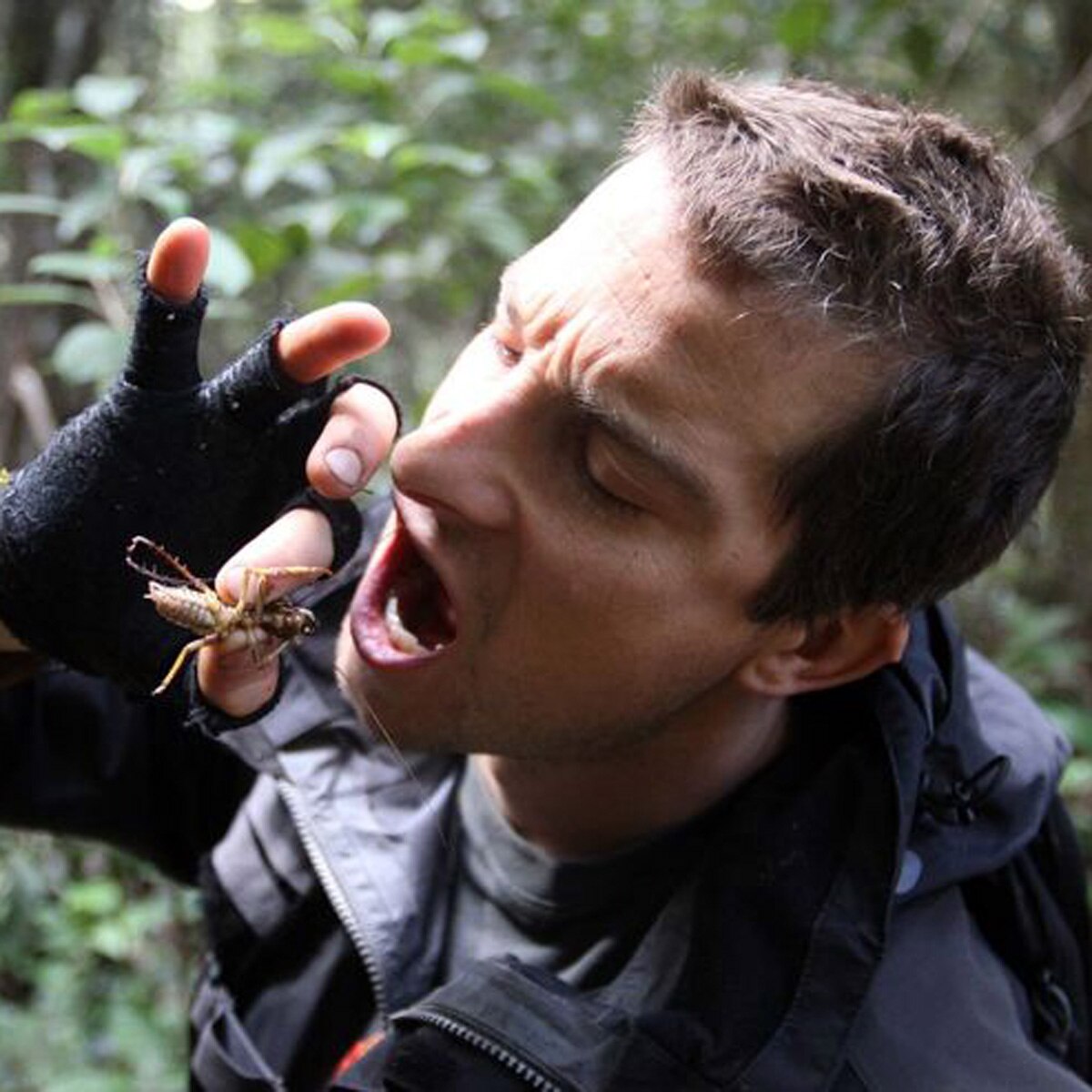 बेयर ग्रिल्स