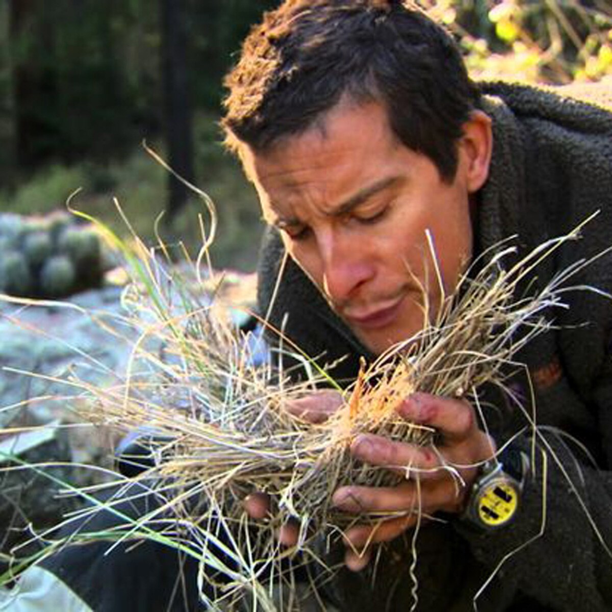 बेयर ग्रिल्स