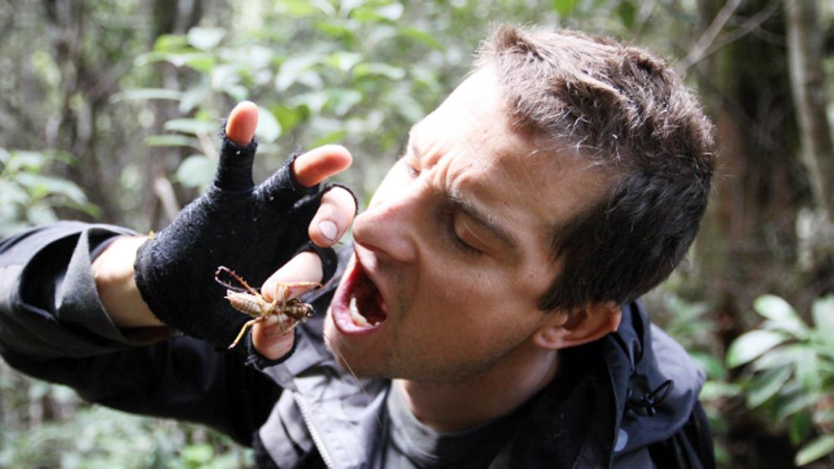 बेयर ग्रिल्स 