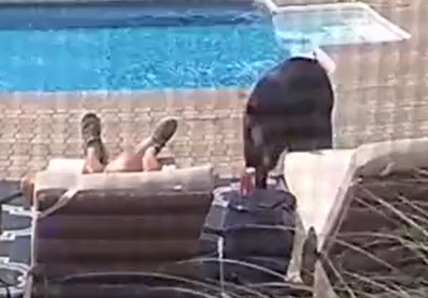 शख्स को भालू ने जगाया