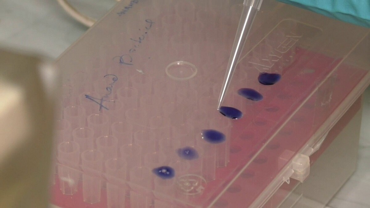 इन लोगों में कोरोना से लड़ने वाली वाली एंटीबॉडी ज्यादा