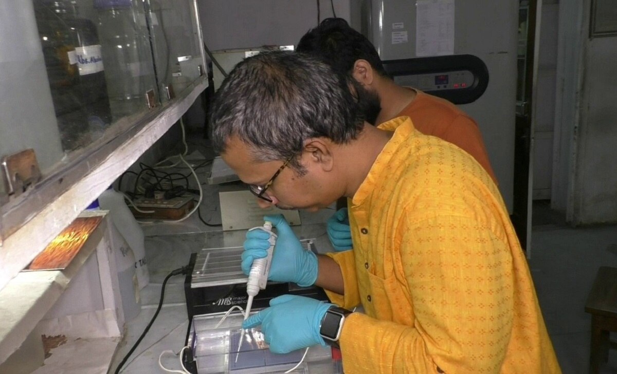 इन लोगों में कोरोना से लड़ने वाली वाली एंटीबॉडी ज्यादा