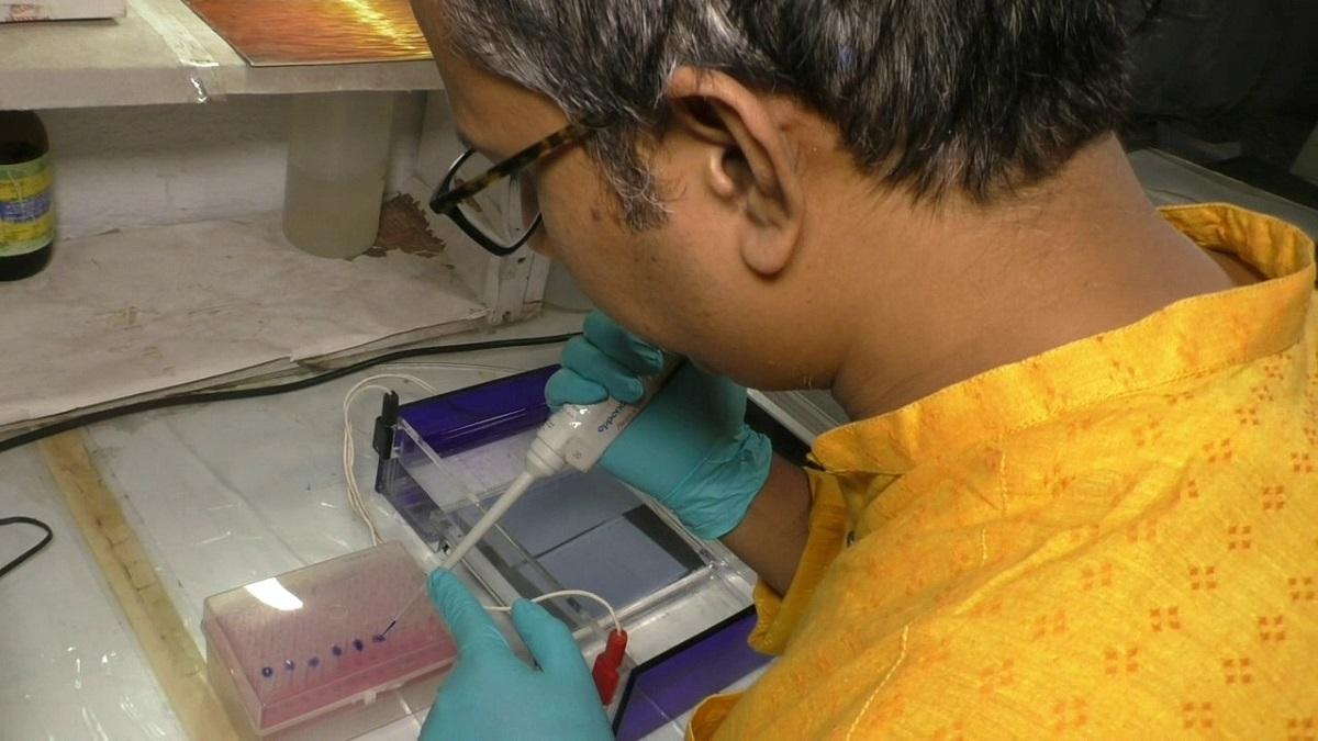 कोरोना से लड़ने वाली वाली एंटीबॉडी पर रिसर्च