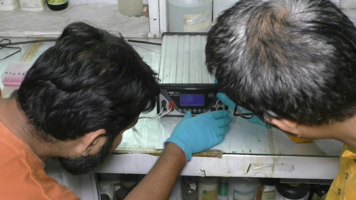 इन लोगों में कोरोना से लड़ने वाली वाली एंटीबॉडी ज्यादा