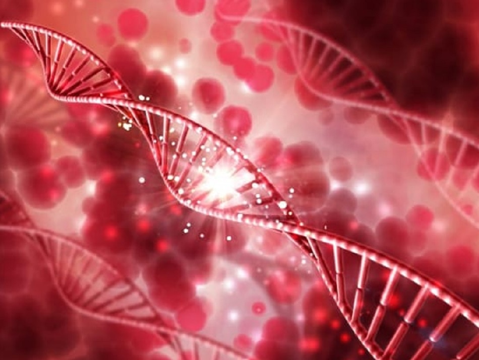 ब्लड ग्रुप