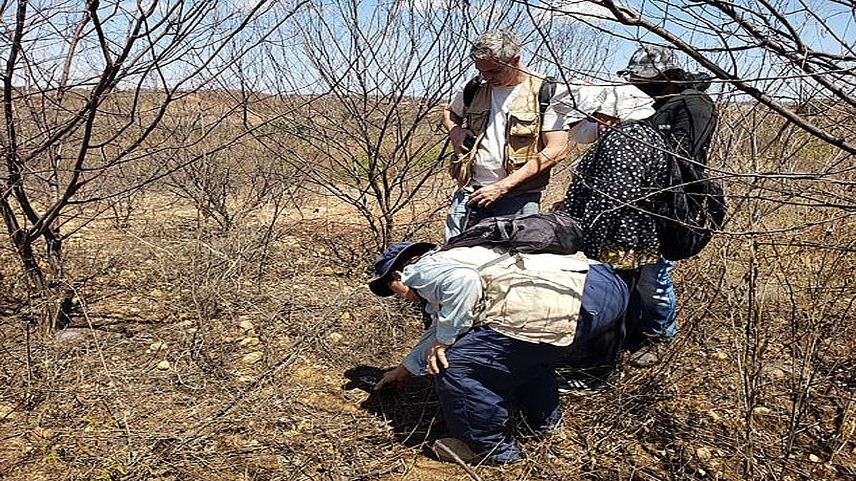 Brazil meteorite collection