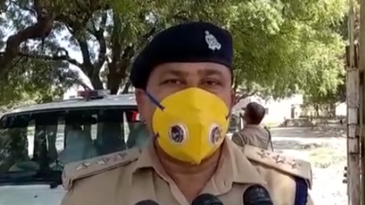 11 कबूतरों की ईंट से पीटकर निर्मम हत्या. 