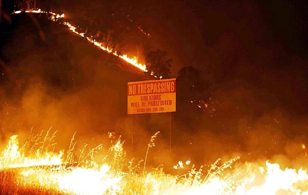 नहीं खत्म हो रही कैलिफोर्निया जंगलों की आग