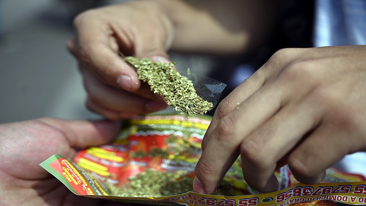 Cannabis Based Drug Cannabidiol Could Treat Covid-19 