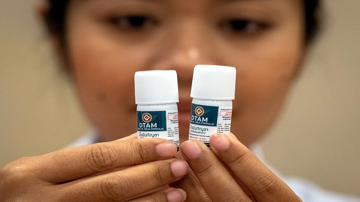 Cannabis Based Drug Cannabidiol Could Treat Covid-19 