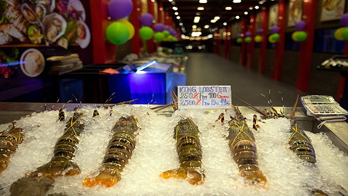 China Suspends Import from 19 Countries