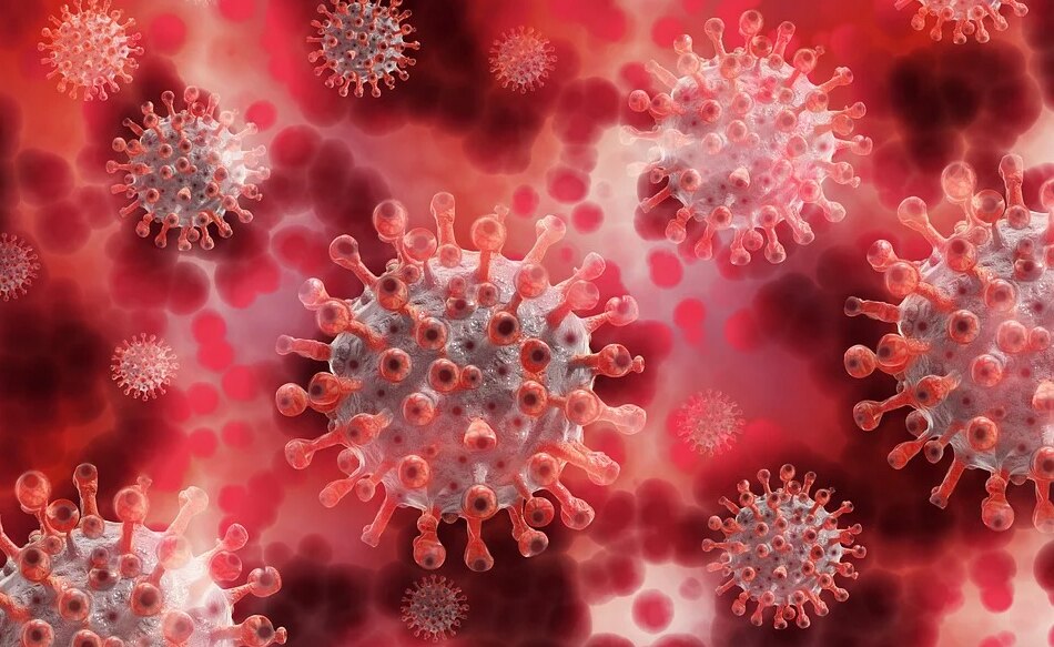 coronavirus