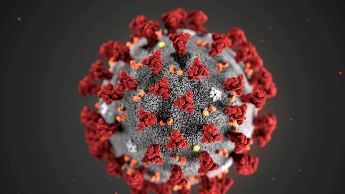 Coronavirus 