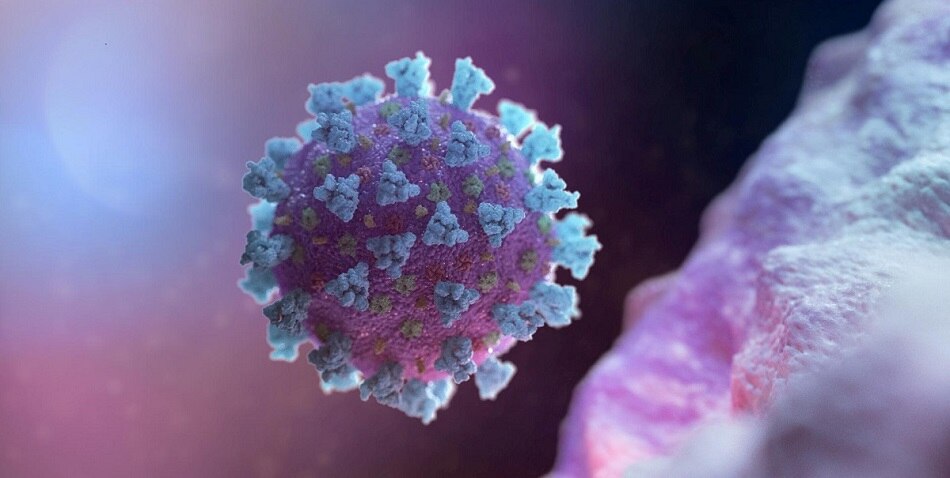 Coronavirus 