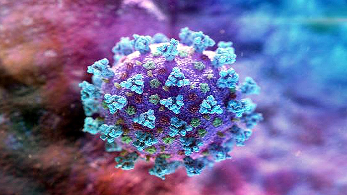 Covid-19 antibodies present in patients 4 months after recovery