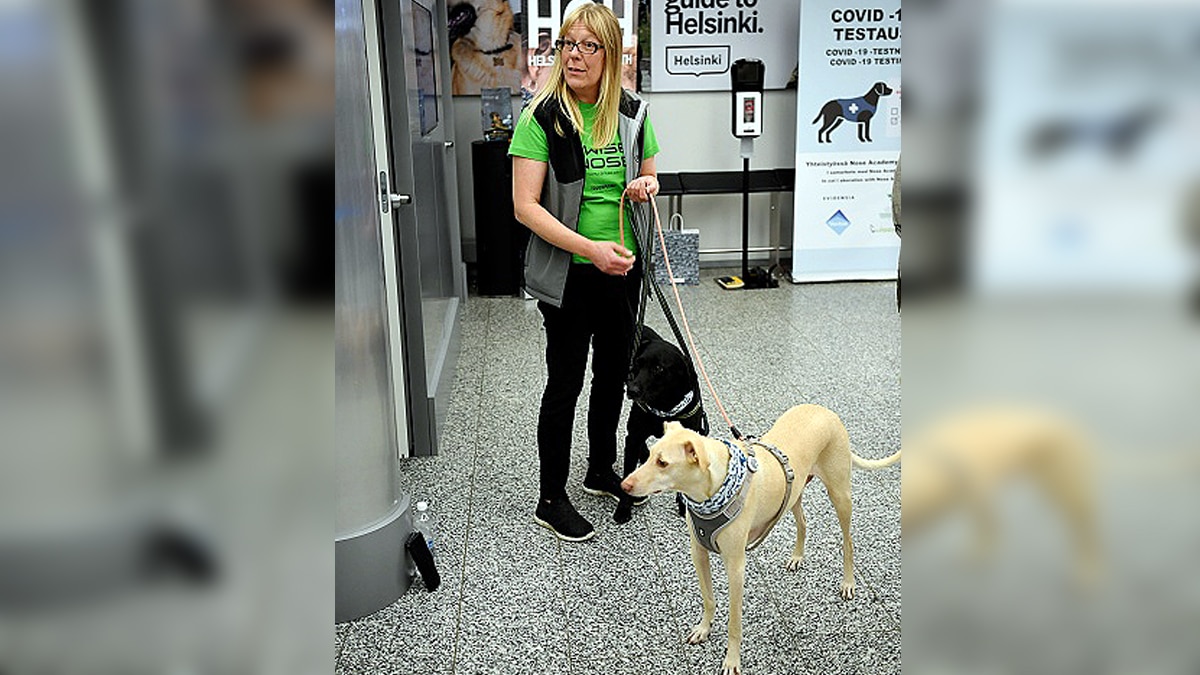 Corona Sniffer dogs deployed at Helsinki airport to sniff out COVID-19