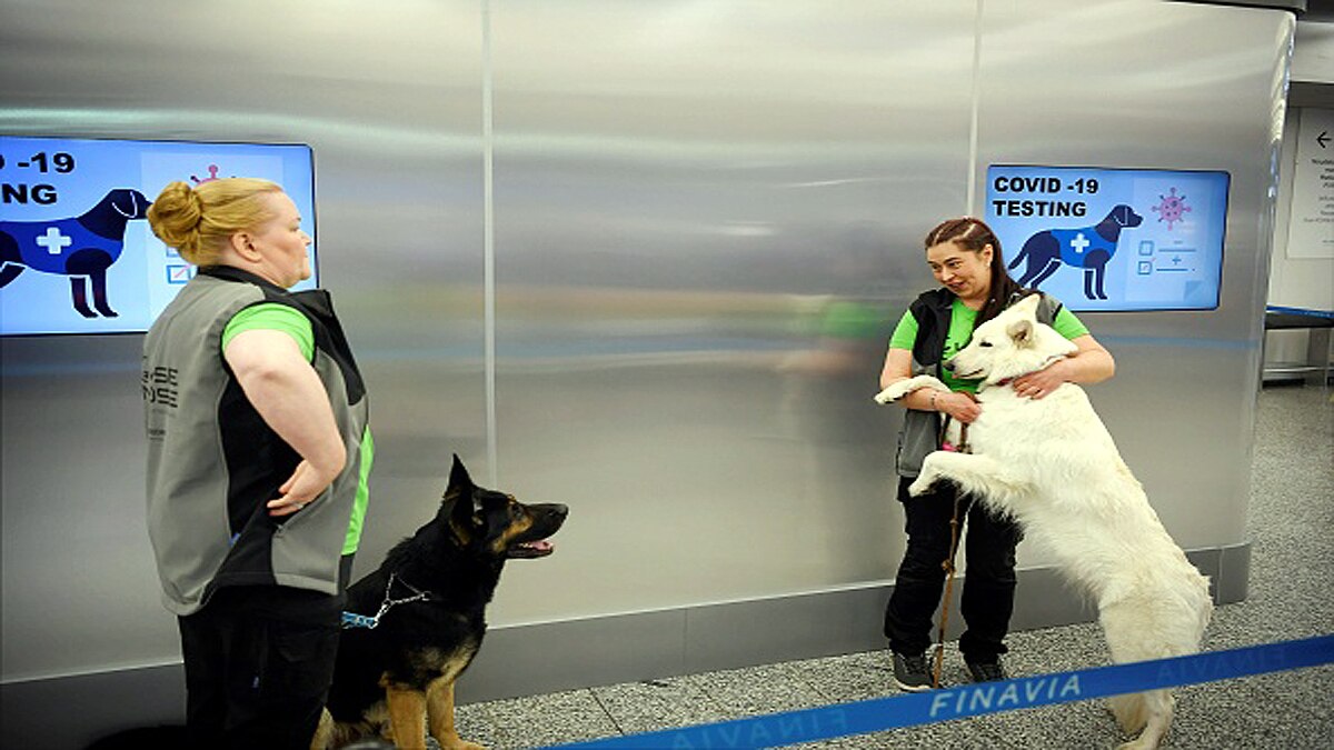 Corona Sniffer dogs deployed at Helsinki airport to sniff out COVID-19