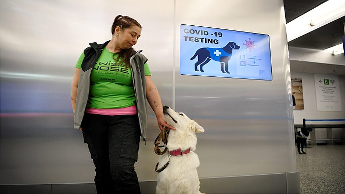 Corona Sniffer dogs deployed at Helsinki airport to sniff out COVID-19