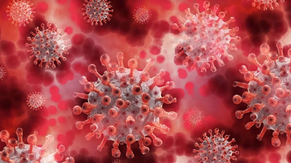 कोरोना का नया इलाज