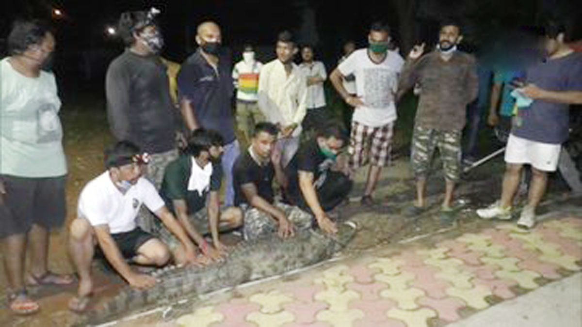 (File Photo Credit ANI)