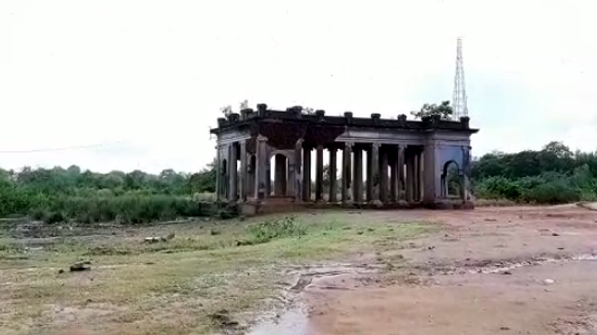 Crocodiles flock in Jadhav Sagar Lake in Shivpuri 