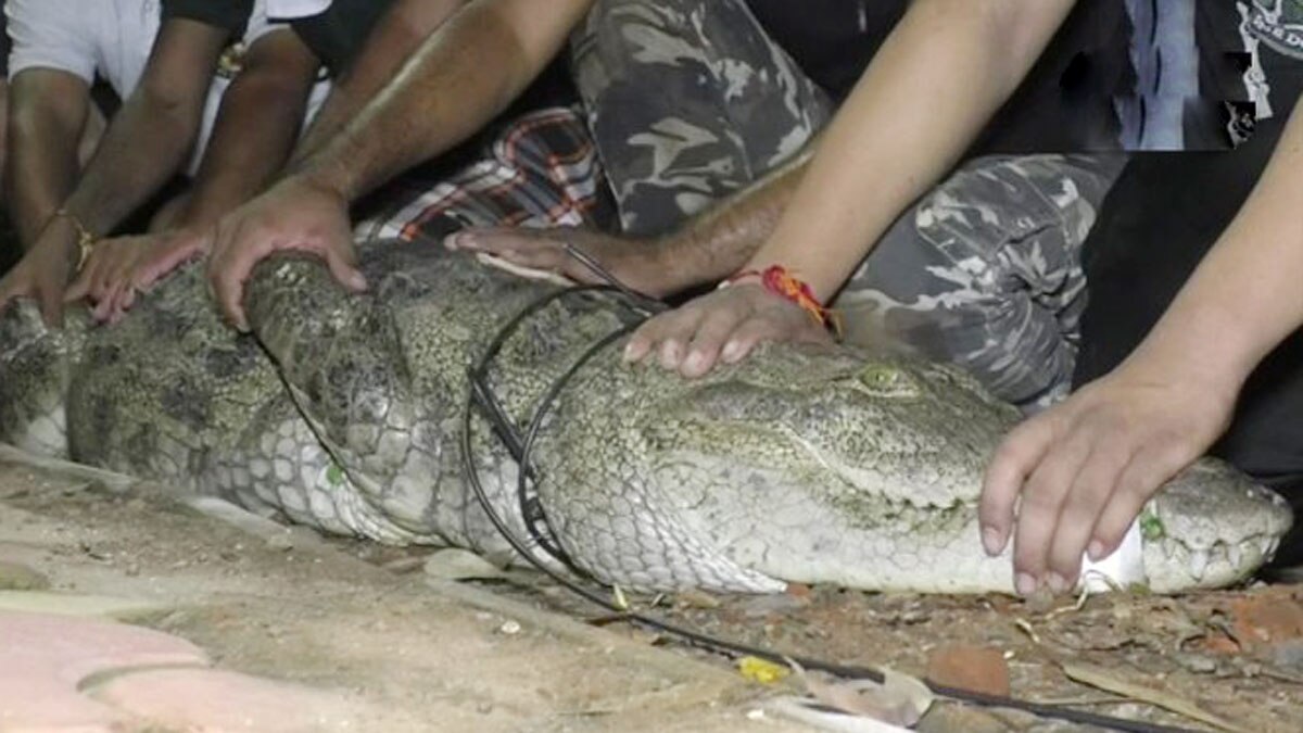 (File Photo Credit ANI)