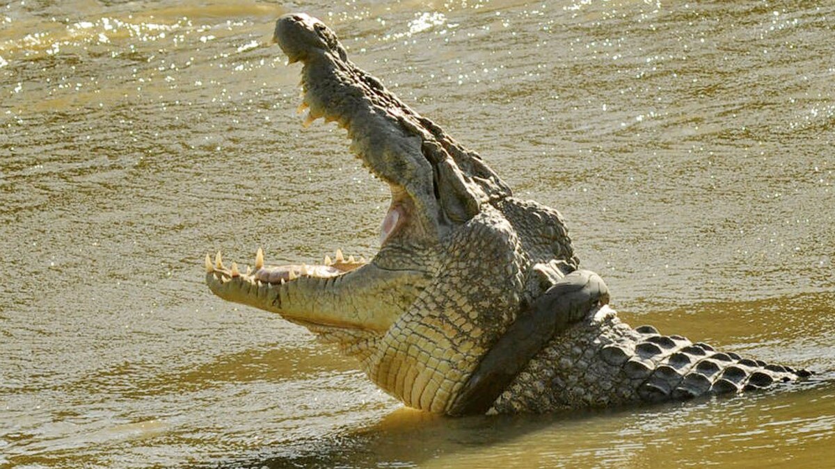 (File Photo Credit Reuters)