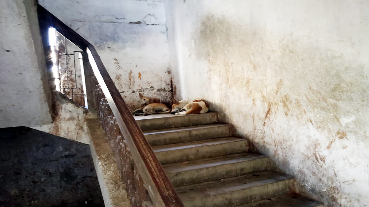 Darbhanga District Medical College Hospital is in bad shape