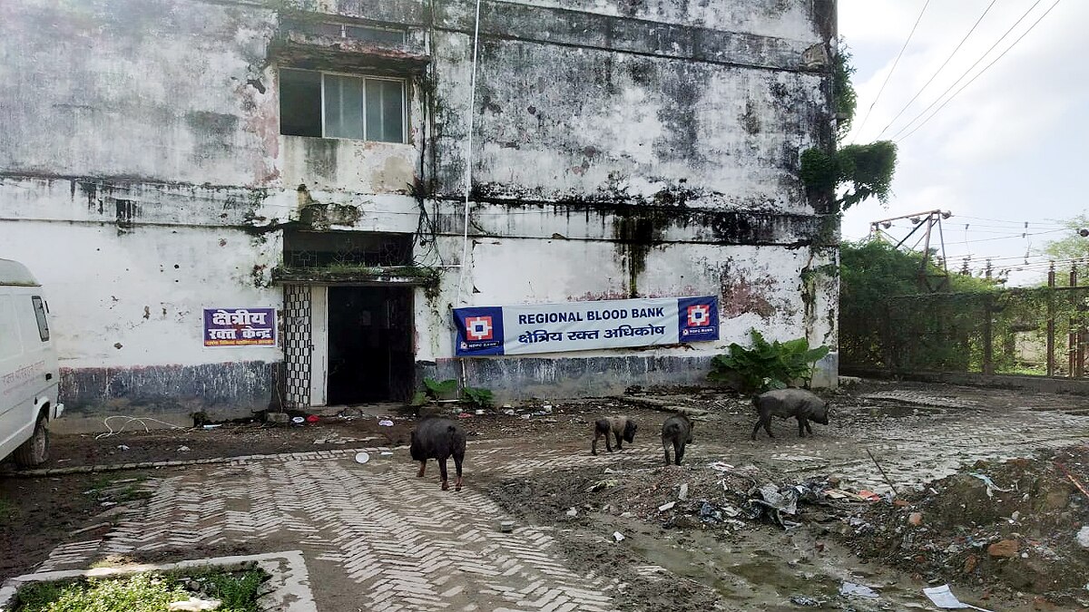 Darbhanga District Medical College Hospital is in bad shape