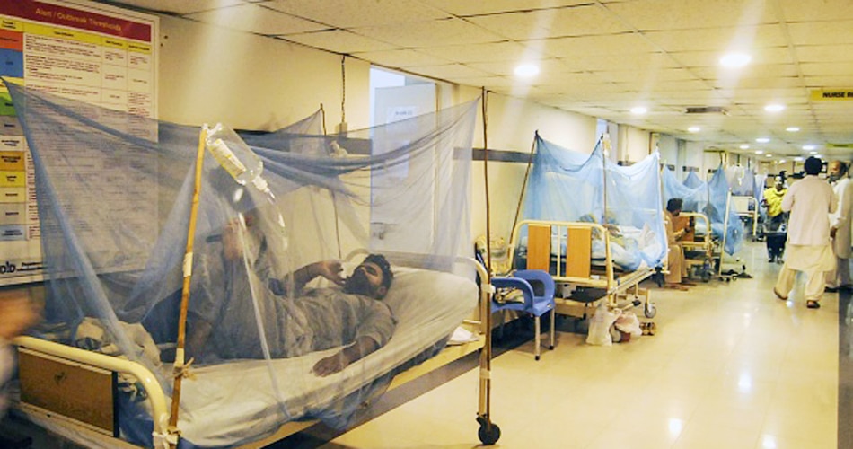 छिड़काव है जरूरी