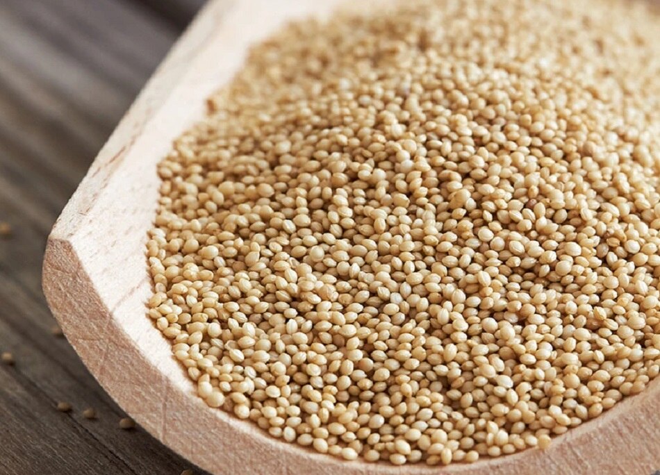 अमरंथ या रामदाना