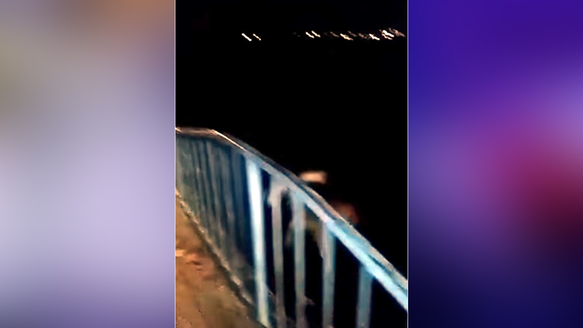 स्ट्रीट डॉग को झील में फेंका.