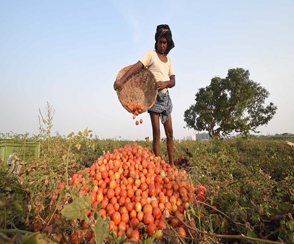 farmers Produce Trade and Commerce  Bill