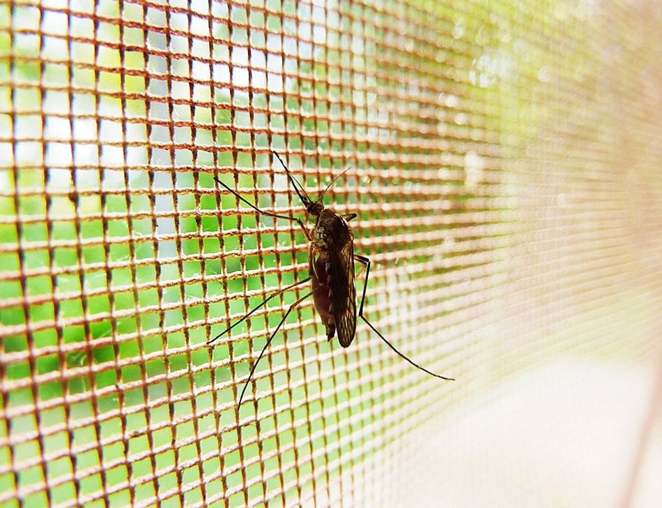 कैसे काम करती है लिक्विड मशीन?