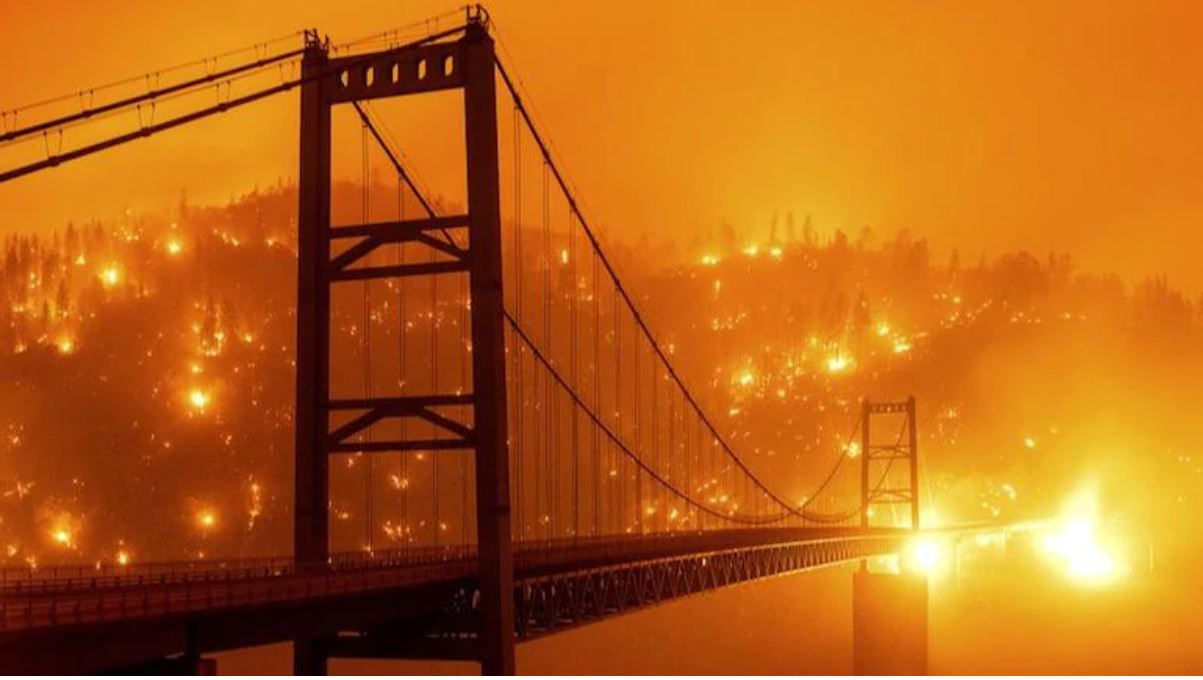 कैलिफोर्निया के जंगल में लगी आग 