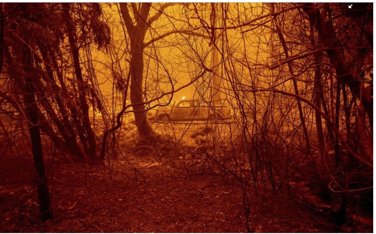 कैलिफोर्निया के जंगल में लगी आग 