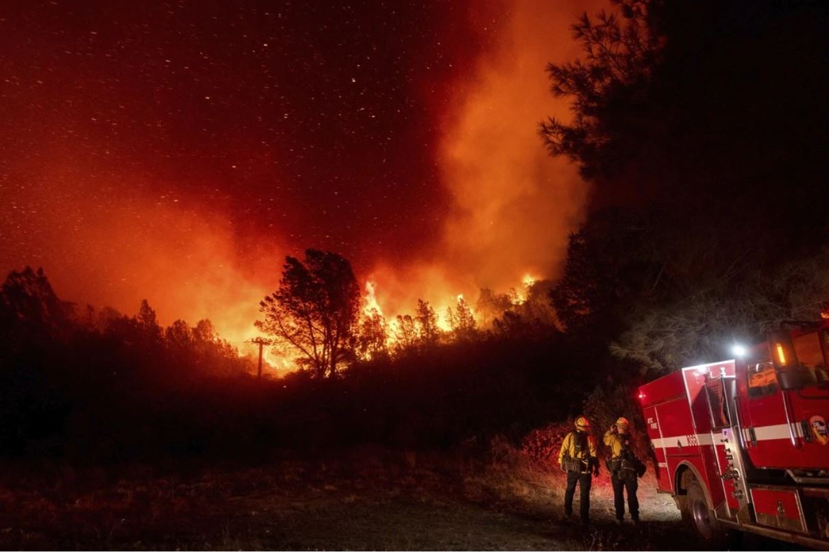 कैलिफोर्निया के जंगल में लगी आग 